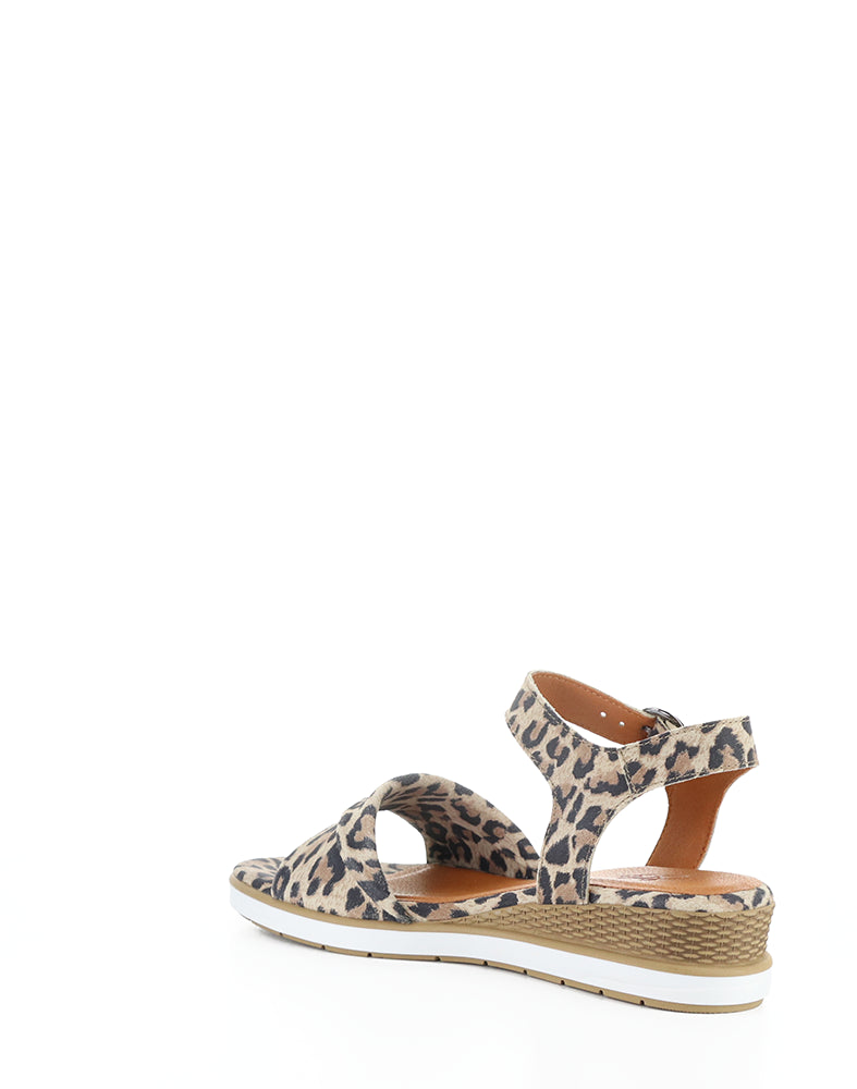 Avon Tan/Leopard Suede Print
