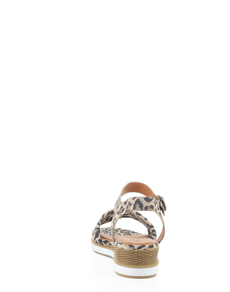 Avon Tan/Leopard Suede Print