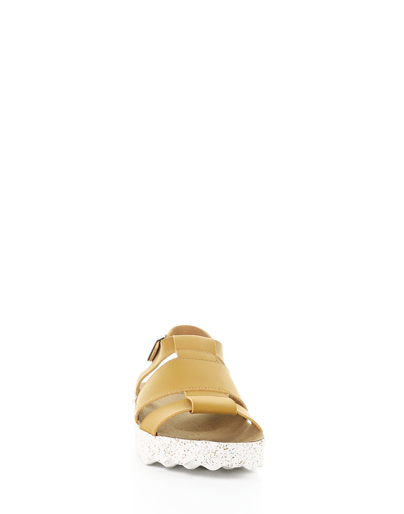 Calla329Asp 001 Camel Eco Nubuck