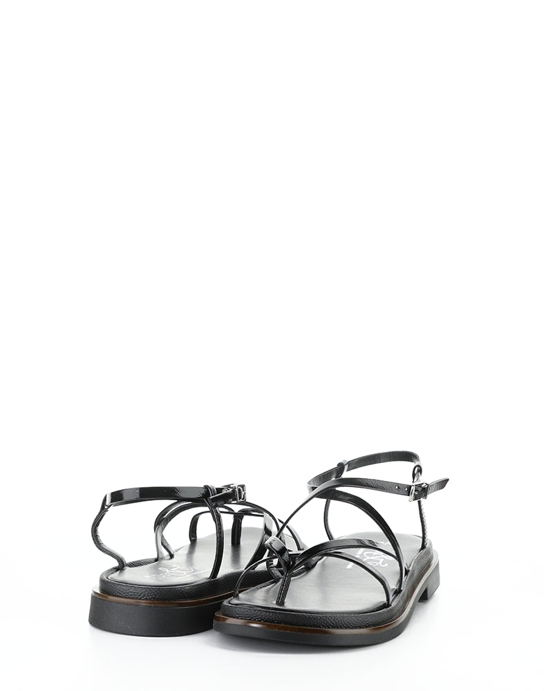 Cassia Black Vernice