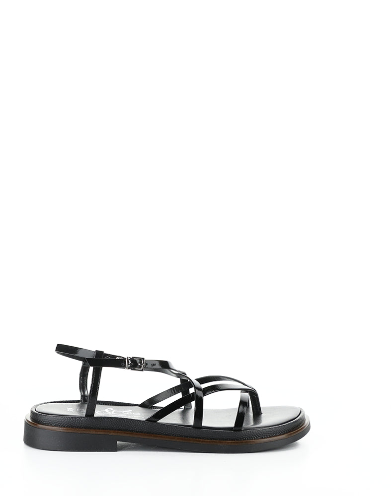 Cassia Black Vernice