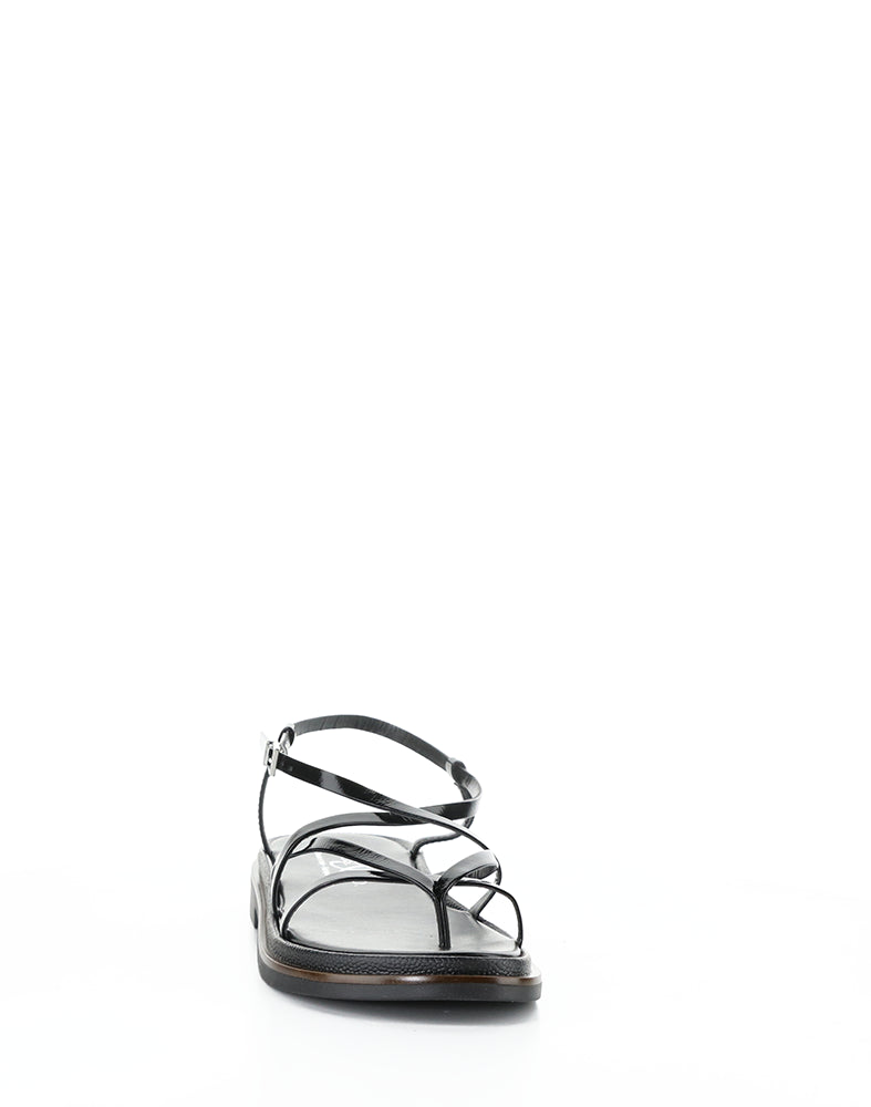 Cassia Black Vernice