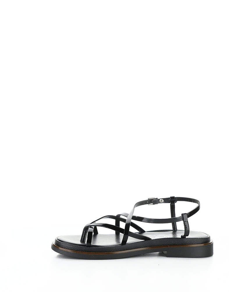 Cassia Black Vernice