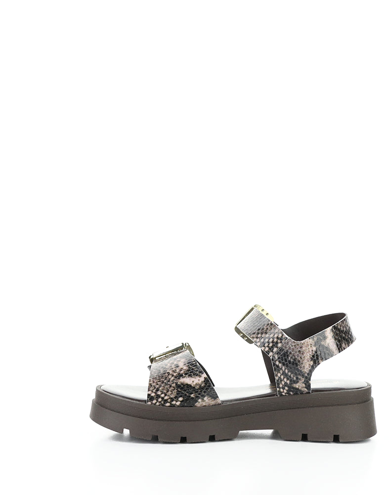 Cinder Taupe Python Print