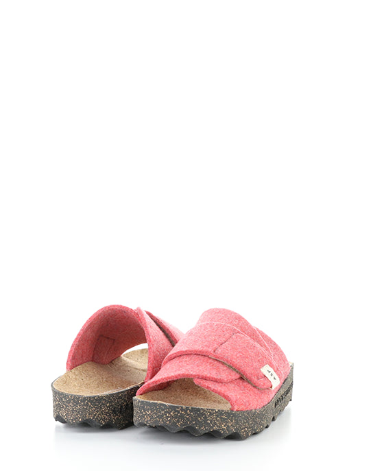 Clavi305Asp 005 Ruby Red Rewooly