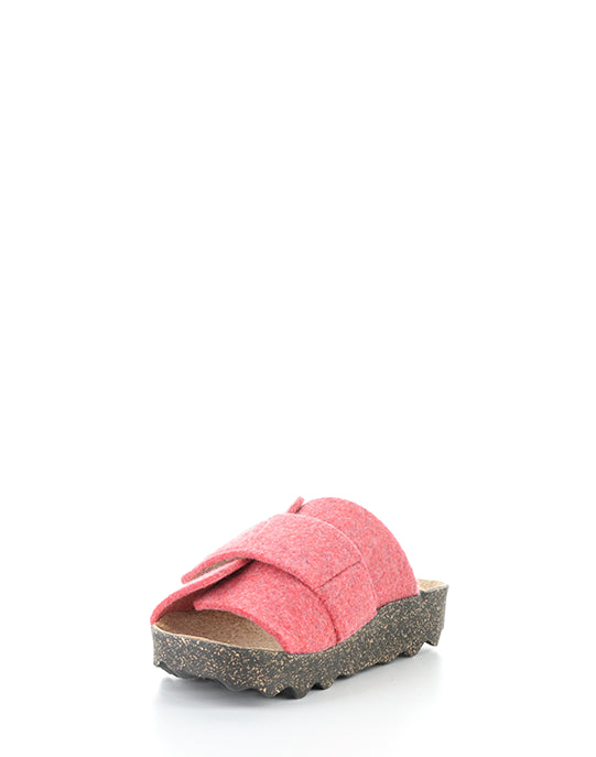 Clavi305Asp 005 Ruby Red Rewooly