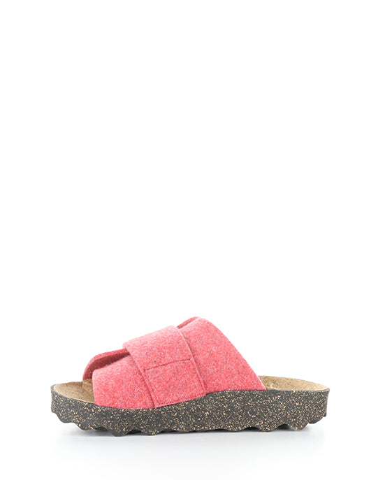 Clavi305Asp 005 Ruby Red Rewooly