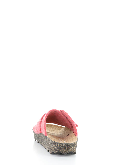 Clavi305Asp 005 Ruby Red Rewooly