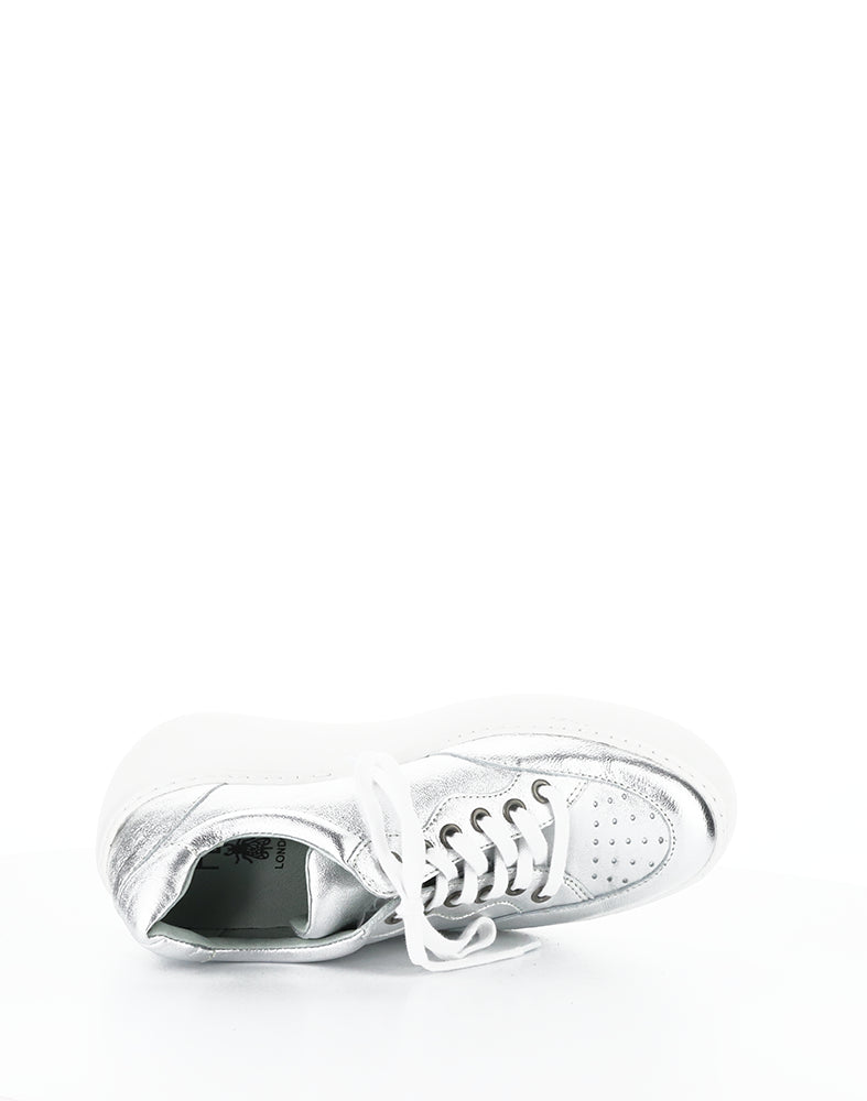 Derk742Fly 002 Silver Laminato