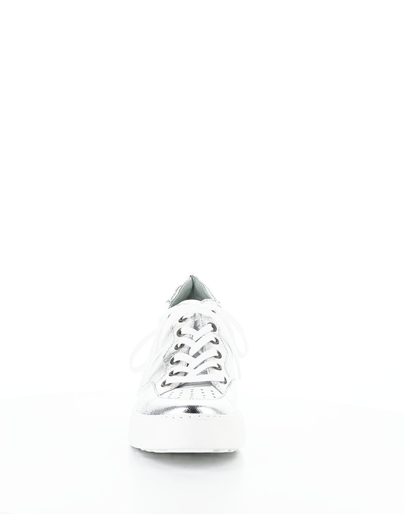 Derk742Fly 002 Silver Laminato