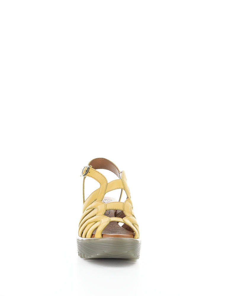 Lemy397Fly 006 Bumblebee Mousse