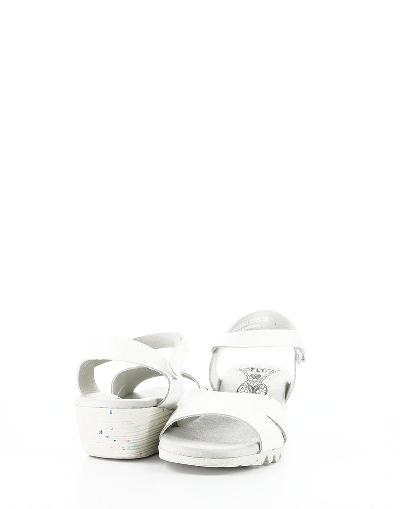 Olla446Fly 003 White Bridle
