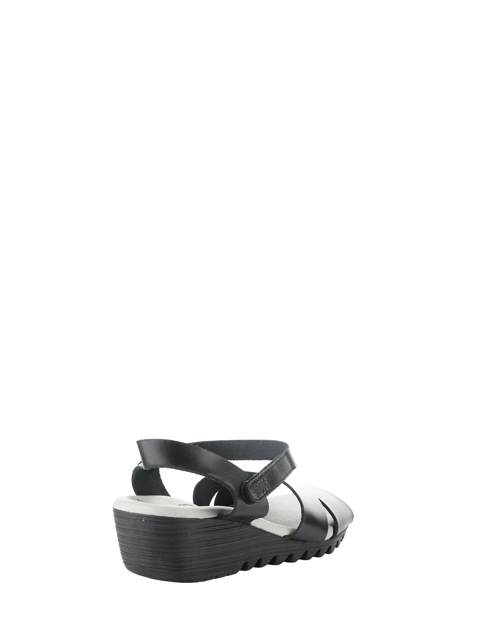 Olla446Fly 004 Black Bridle