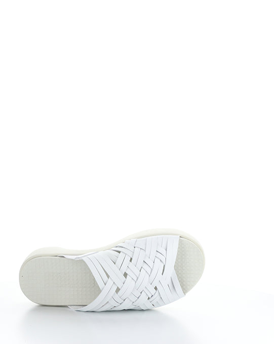 Rised White Leader