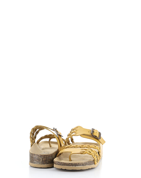 Sabina Yellow Gaucho Oil