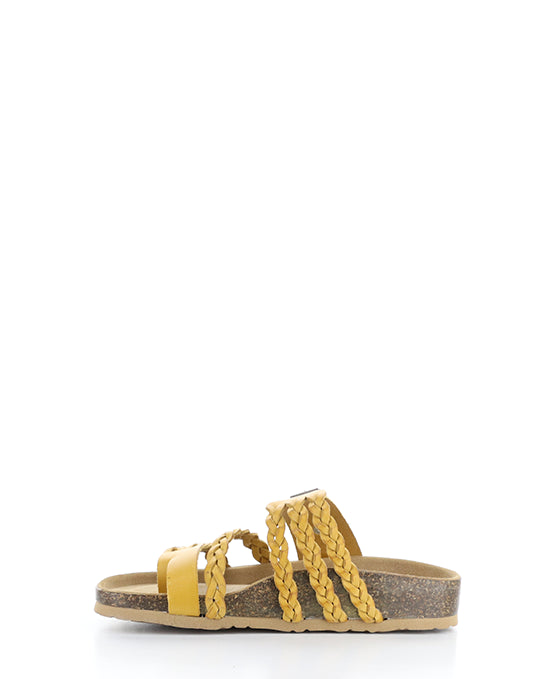 Sabina Yellow Gaucho Oil