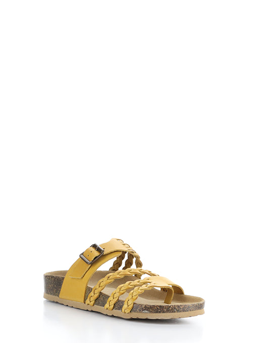 Sabina Yellow Gaucho Oil
