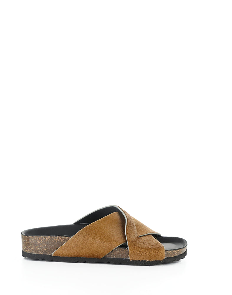 Suna Brandy Pony