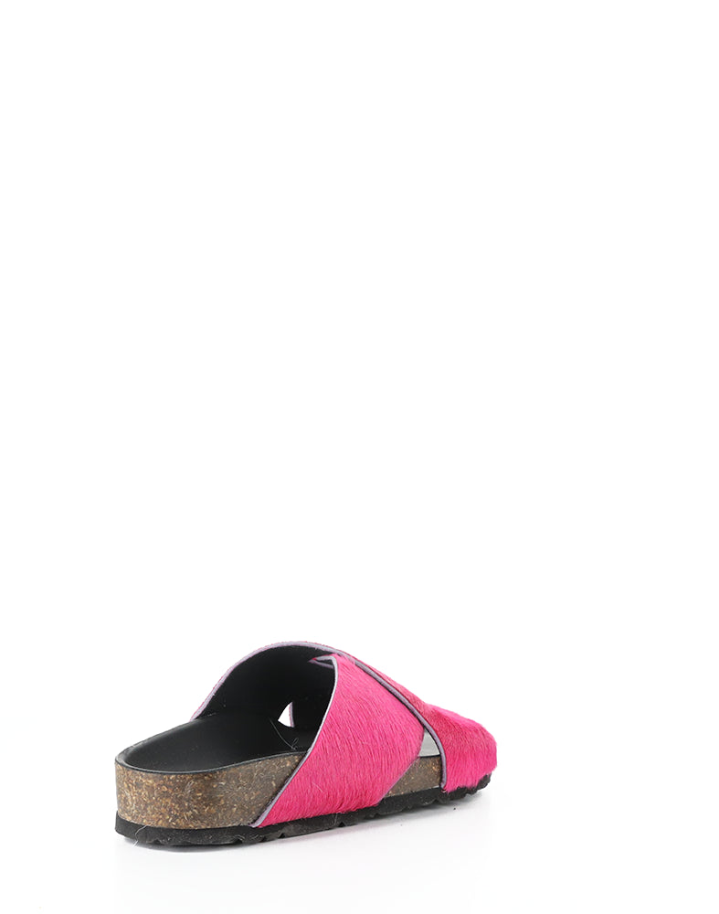 Suna Fuxia Pony