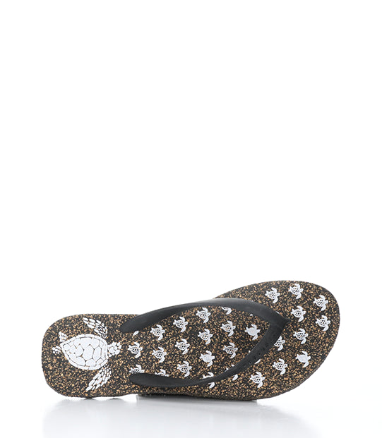 Turtle112Asp 001 Black Rubber