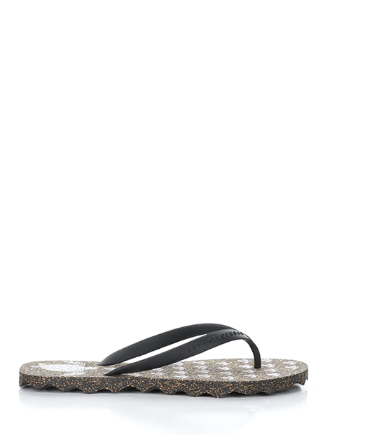 Turtle112Asp 001 Black Rubber
