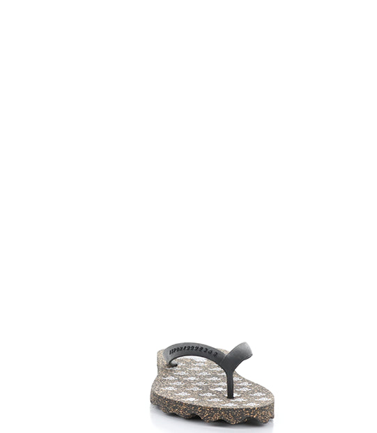 Turtle112Asp 001 Black Rubber