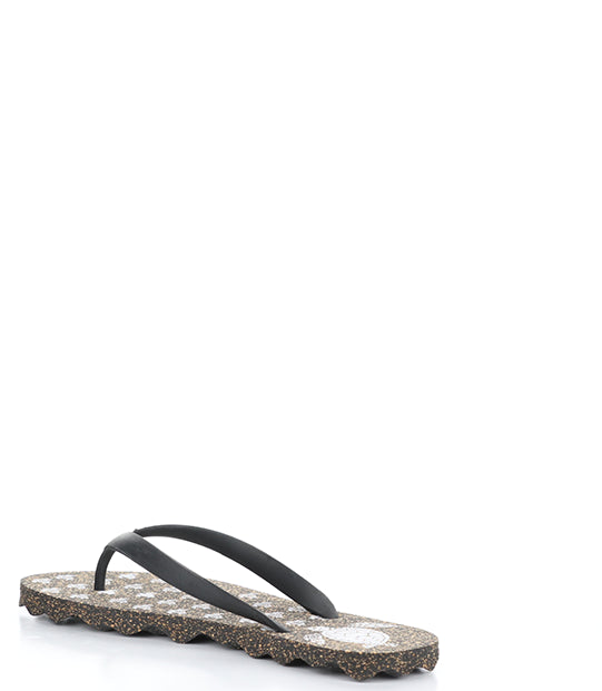 Turtle112Asp 001 Black Rubber